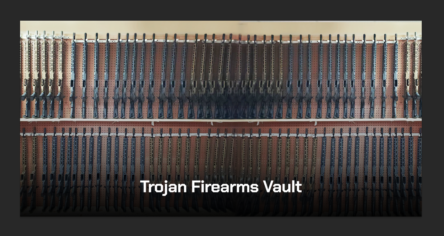 firearm vault